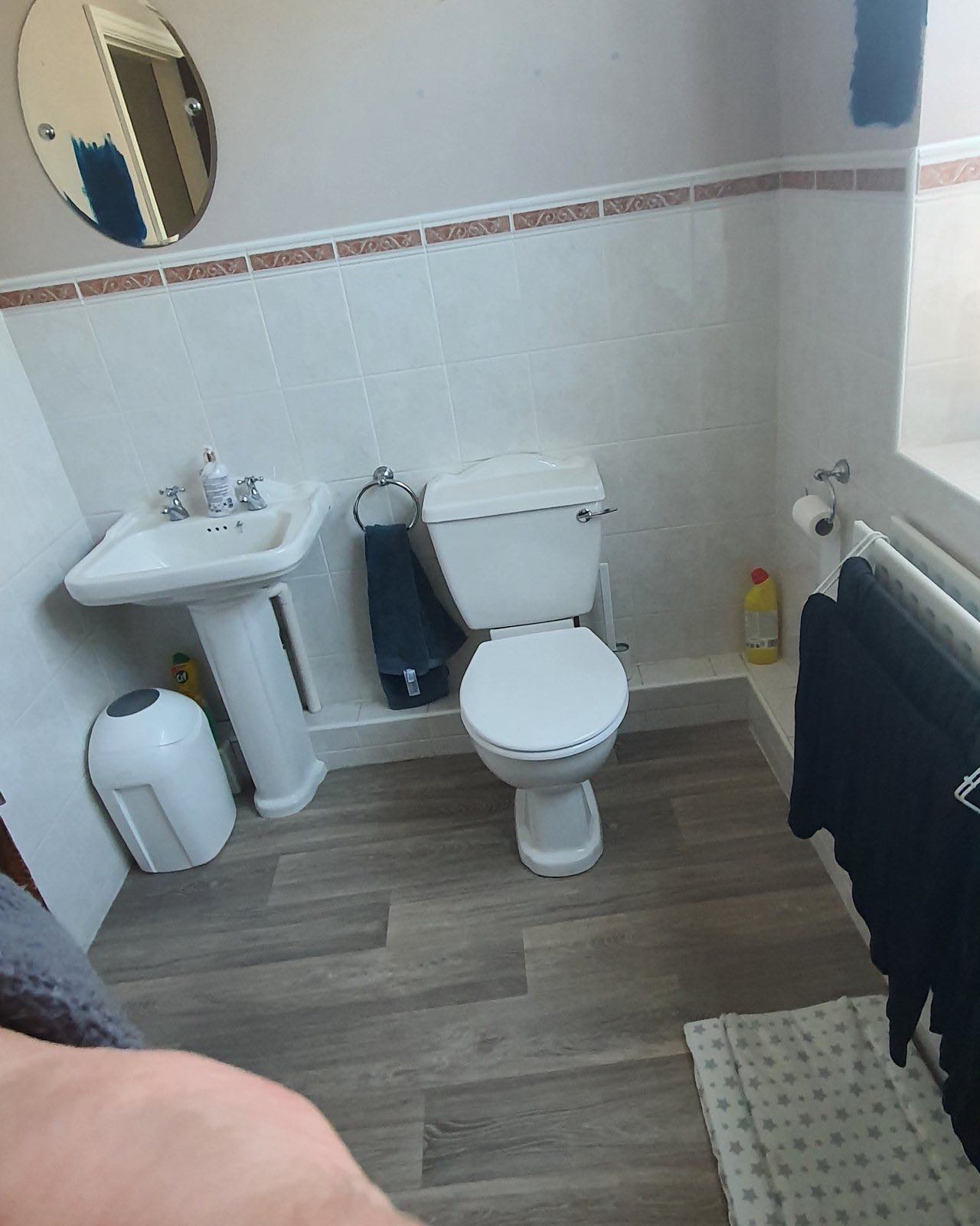 Before: the old toilet and pedestal basin with peach border tiles