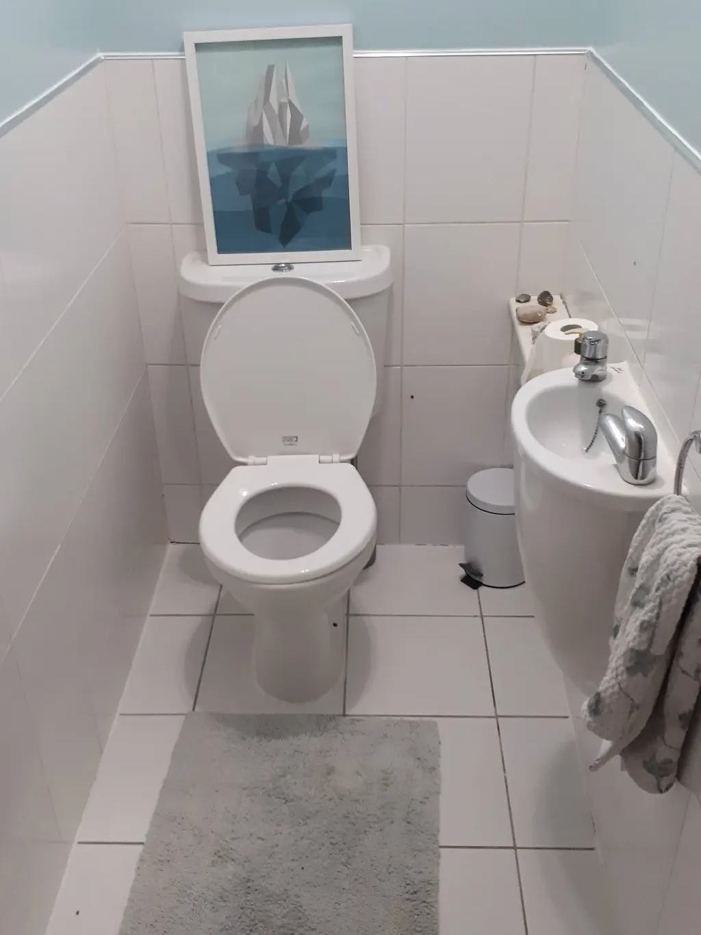 Before: the old cloakroom with a worn white suite and grubby floor